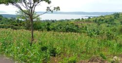 2 Acres of land with lake view Nkonkonjeru