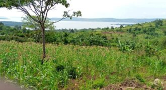 2 Acres of land with lake view Nkonkonjeru