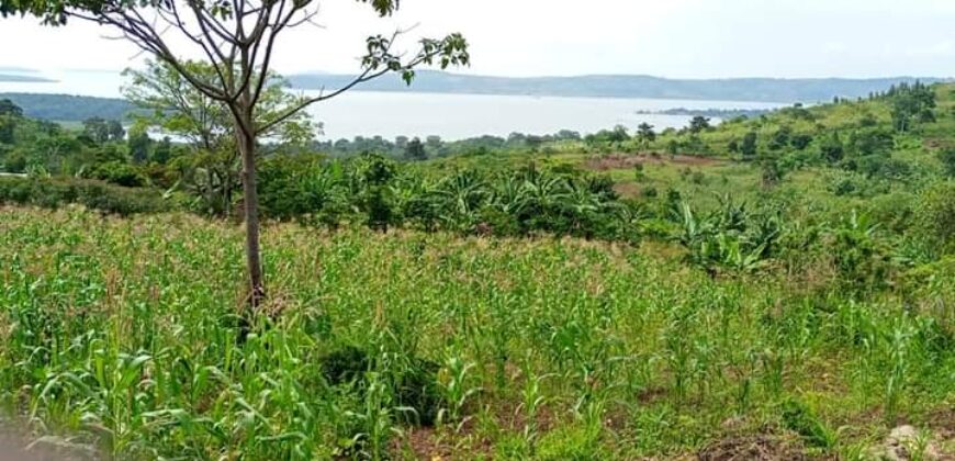 2 Acres of land with lake view Nkonkonjeru