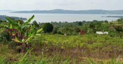 2 Acres of land with lake view Nkonkonjeru