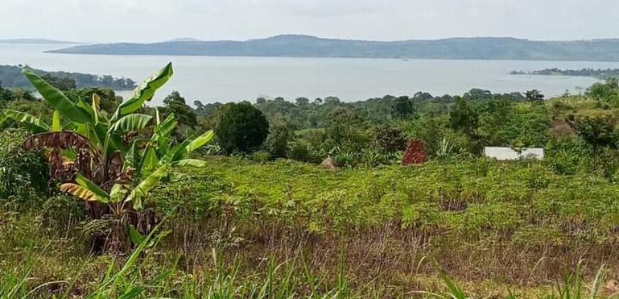 2 Acres of land with lake view Nkonkonjeru