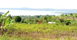 2 Acres of land with lake view Nkonkonjeru