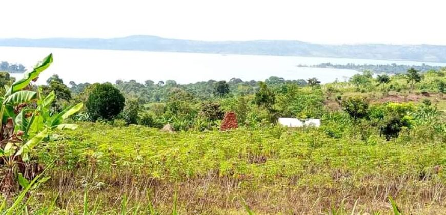 2 Acres of land with lake view Nkonkonjeru