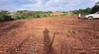 Matugga kakelenge estate